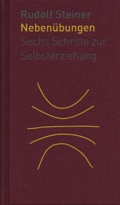 Die Nebenübungen von Futurum / Rudolf Steiner Verlag
